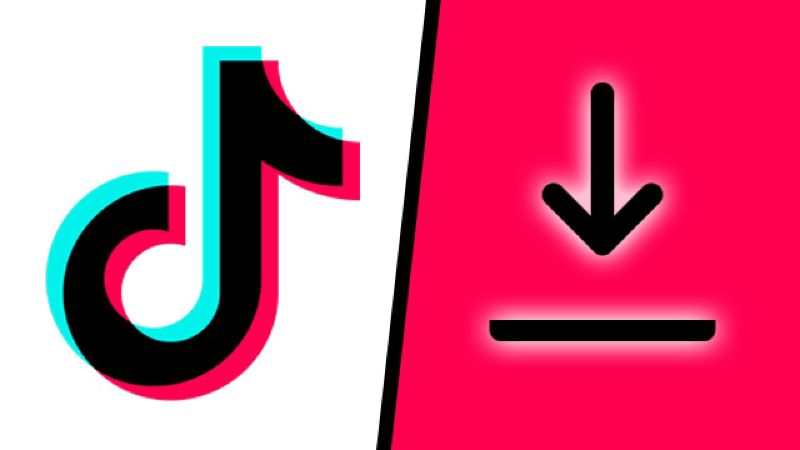 TikTok downloader