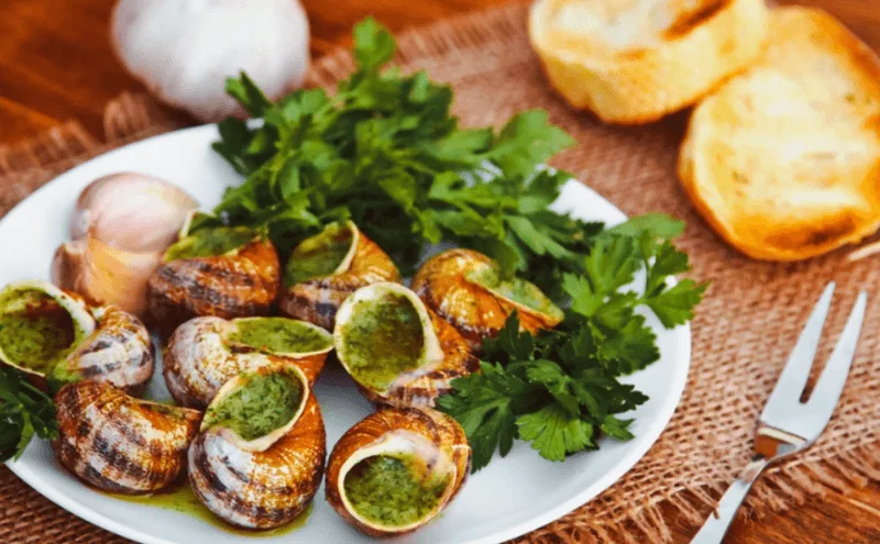 Từ món ăn bình dân thời cổ đại, Escargot đã bước lên bàn tiệc quý tộc nhờ sự sáng tạo của đầu bếp Carême.