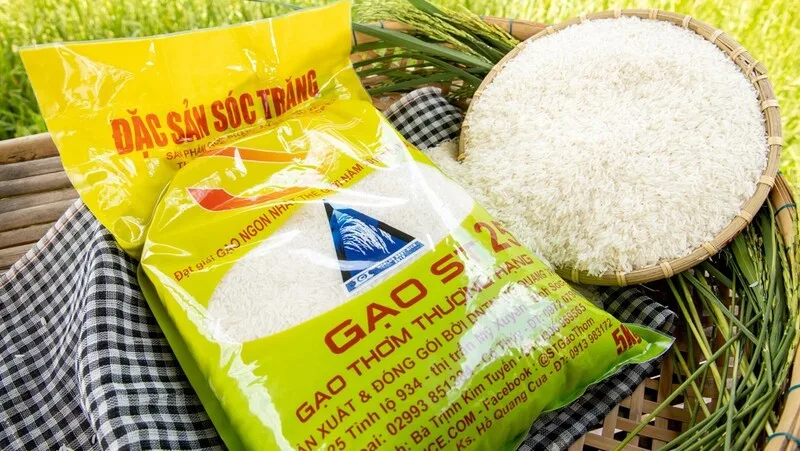 Gạo ST25 thường có giá cao hơn nhờ chất lượng hạt, độ mềm dẻo và nhu cầu thị trường lớn.