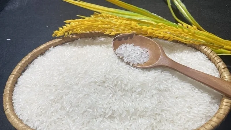 Cập nhật giá gạo giúp gia đình cân đối ngân sách sinh hoạt và lựa chọn loại gạo phù hợp hơn.